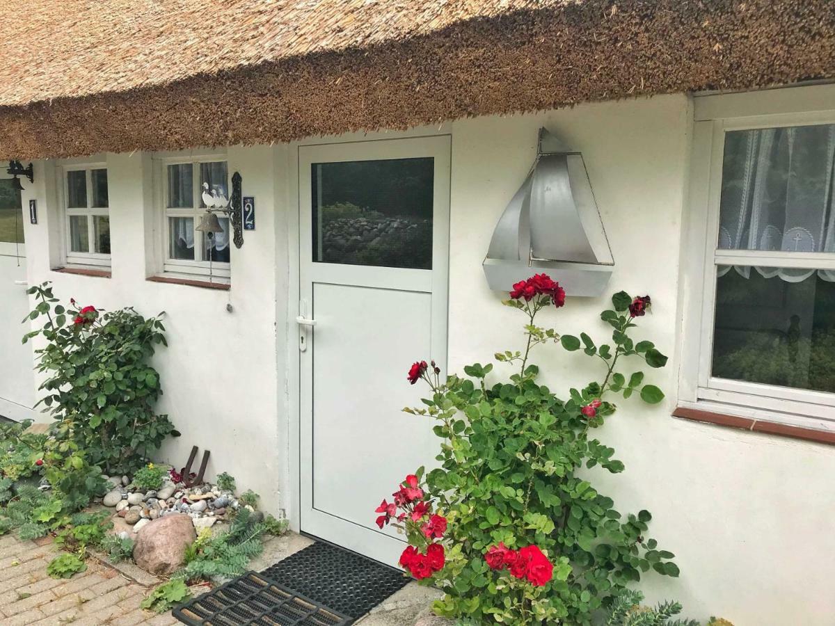 Kleine Reetgedeckte Doppelhaushaelfte In Idyllischer Lage Nardevitz Ngoại thất bức ảnh